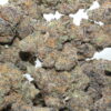 Black Cherry Cheesecake Flower