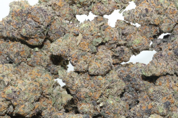 Black Cherry Cheesecake Flower