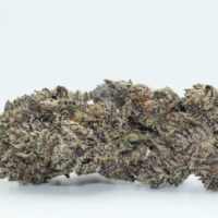 Black Truffle THCA Flower