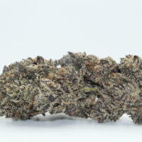 Black Truffle THCA Flower