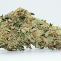 Black Truffle THCA Hemp Flower