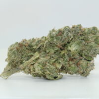 Black Truffle THCA Hemp Flower