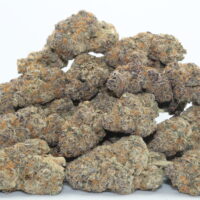 Cookie Dough THCA Hemp Flower