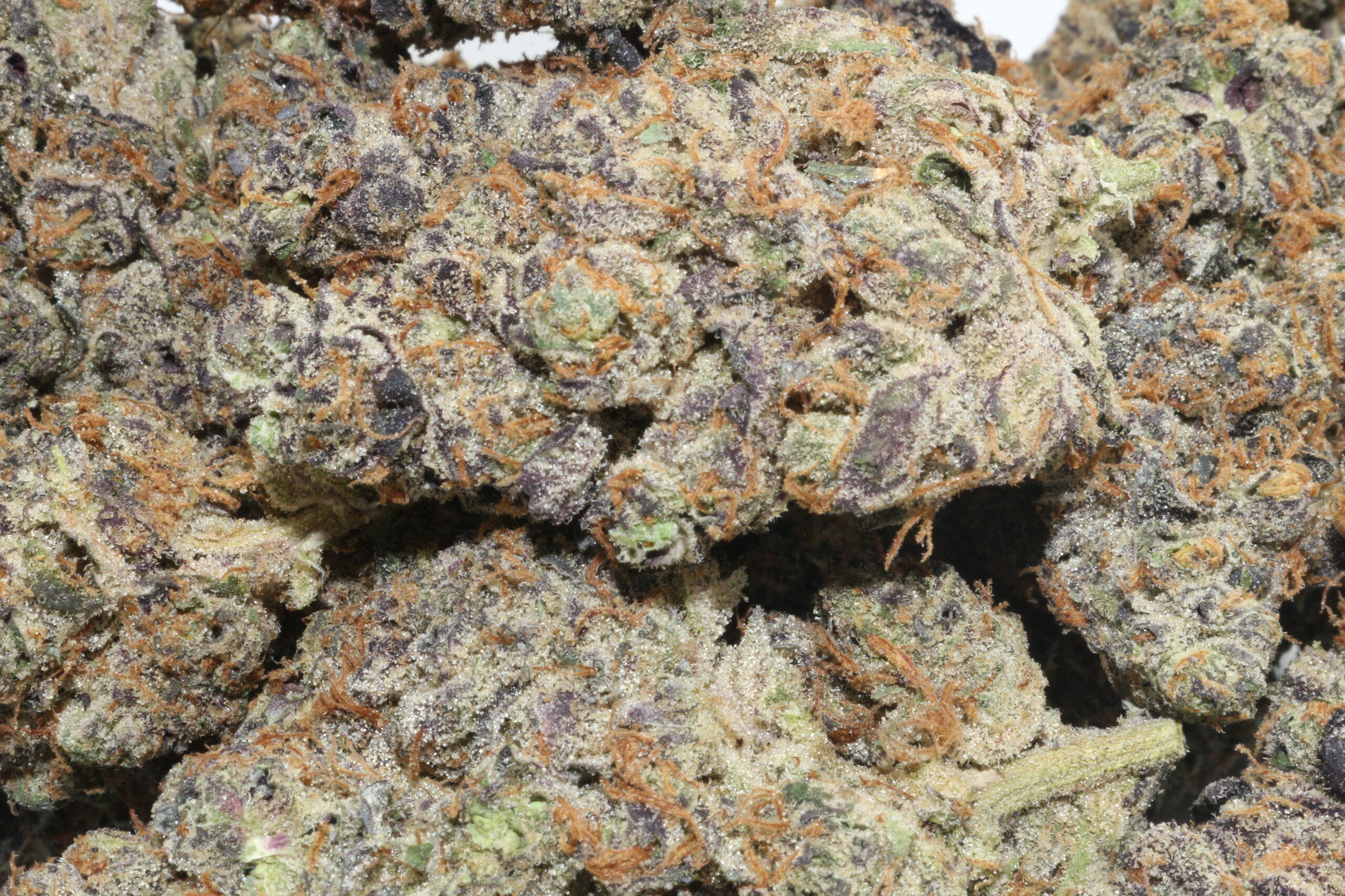 Pixie Stix Hemp Flower