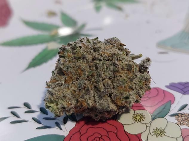 Image #1 from Dr.Ganja Customer