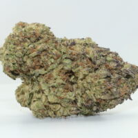 Grape Pie