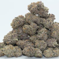 Lime Purple Mist