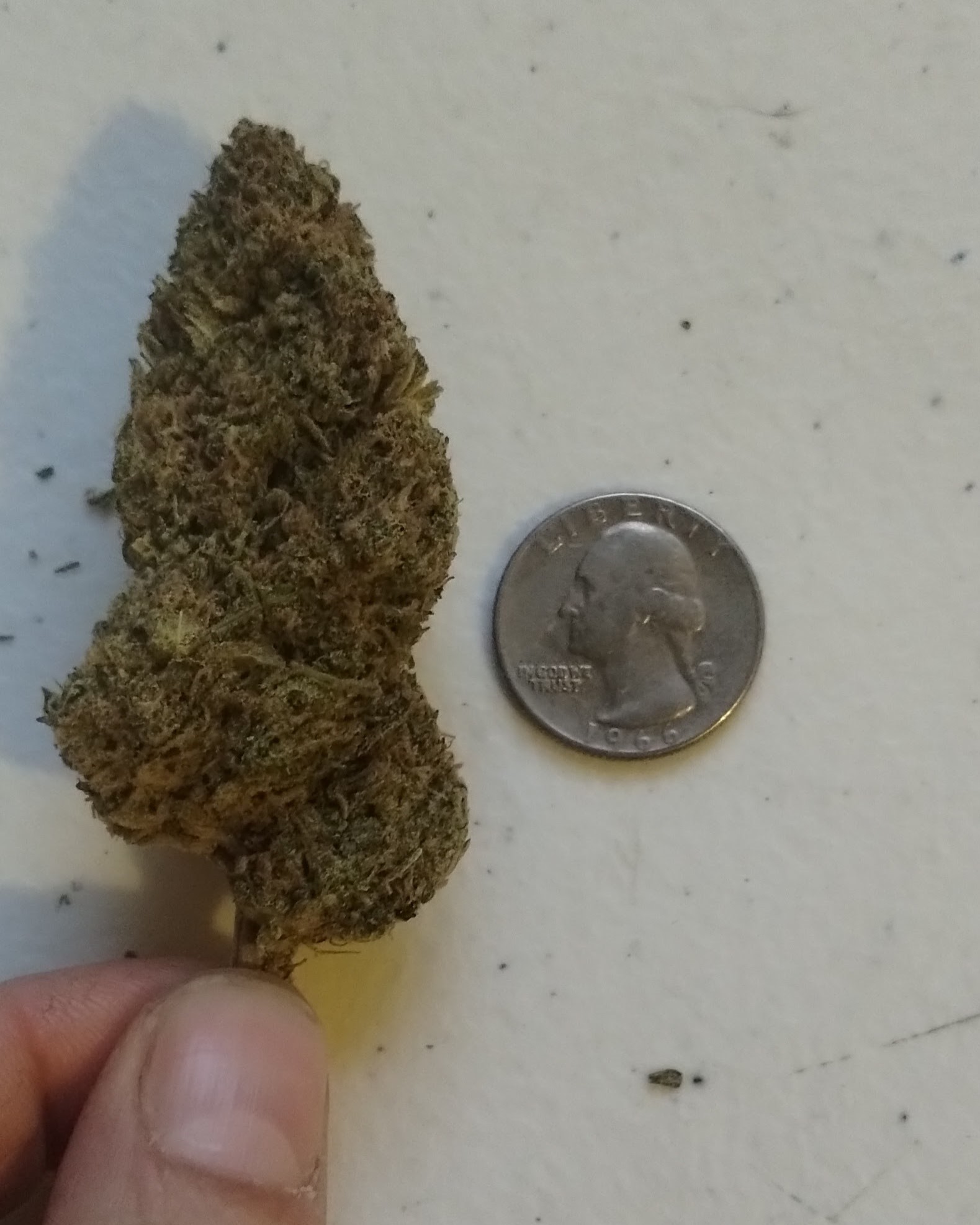 Image #1 from Dr. Ganja Customer