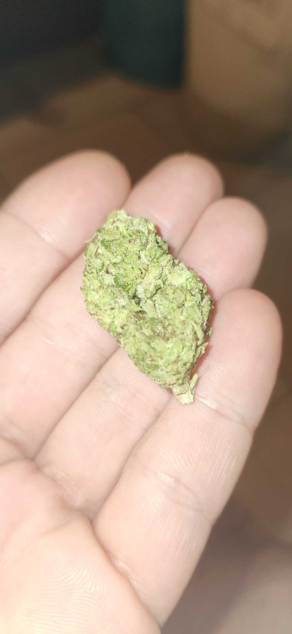 Image #6 from Jg