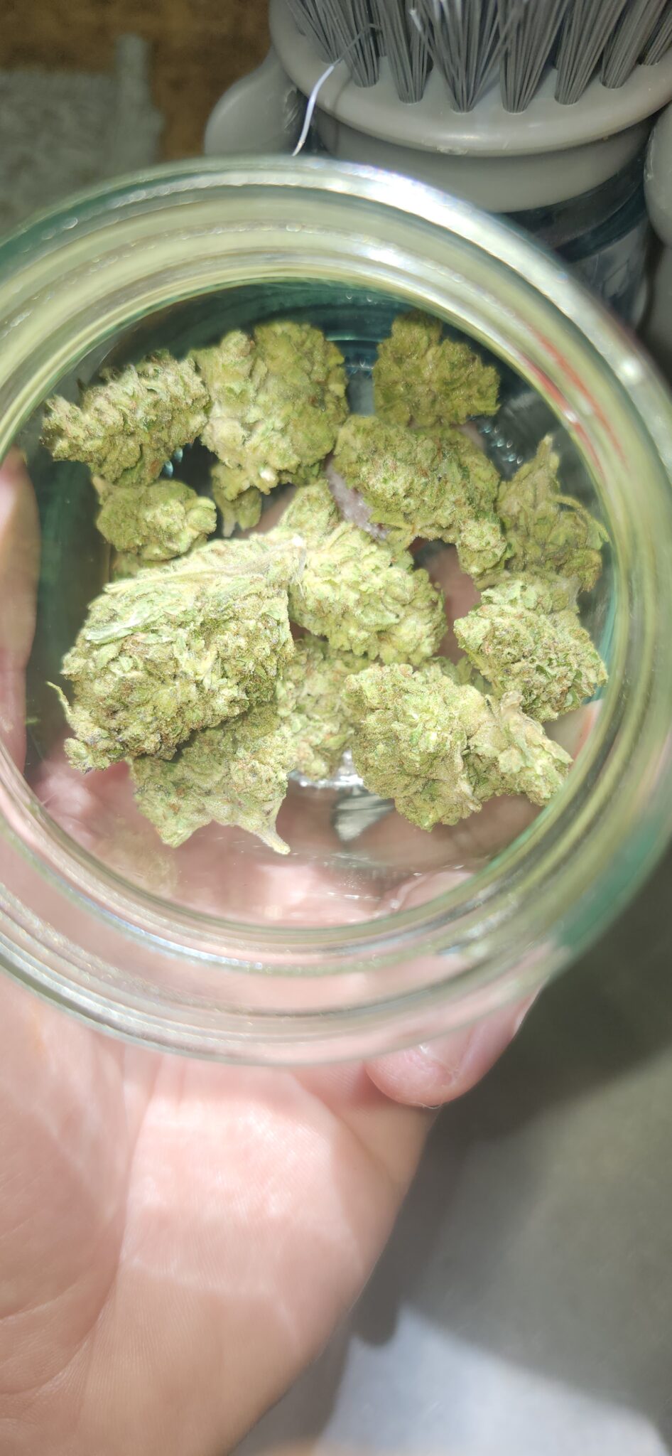 Image #2 from Jg