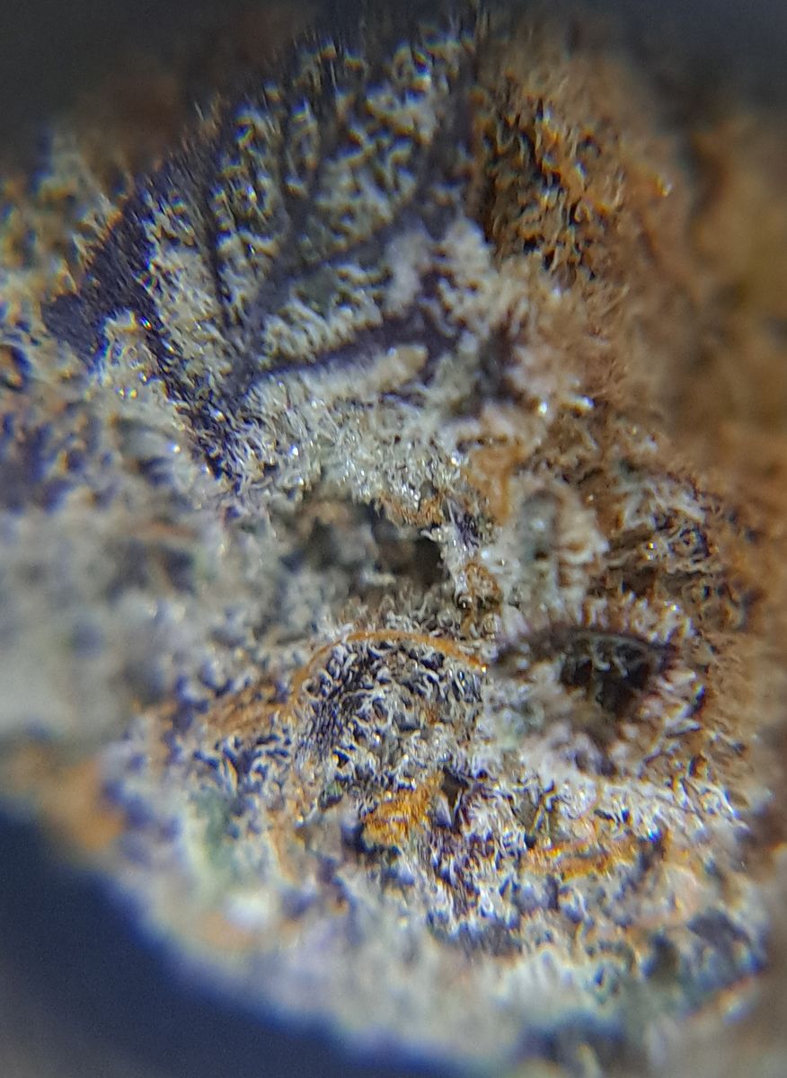Image #3 from Ben B.
