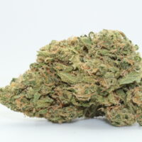 Blue Dream THCA Hemp Flower
