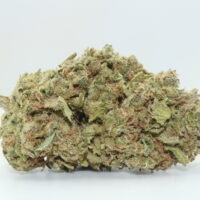 Blue Dream