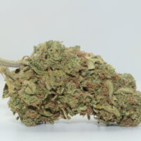 Blue Dream THCA Hemp Flower