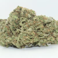 Blue Dream THCA Hemp Flower