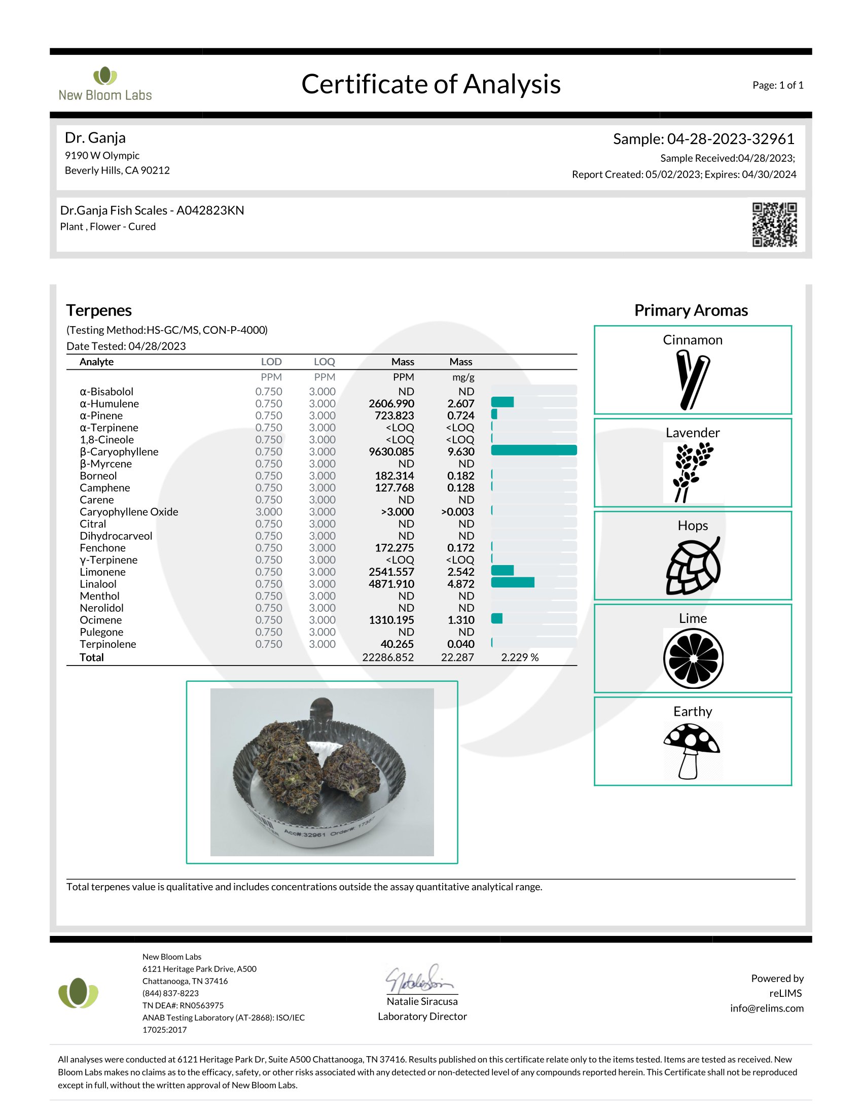 Dr.Ganja Fish Scales Terpenes Certificate of Analysis