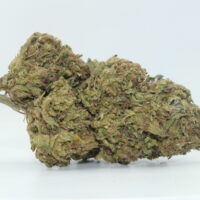 Hash Burger THCA Hemp Flower