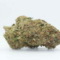 Ice Cream Breath
