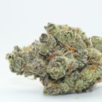 Modified Grapes THCA Hemp Flower