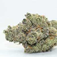 Modified Grapes THCA Hemp Flower