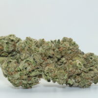 Ruthless OG THCA Hemp Flower