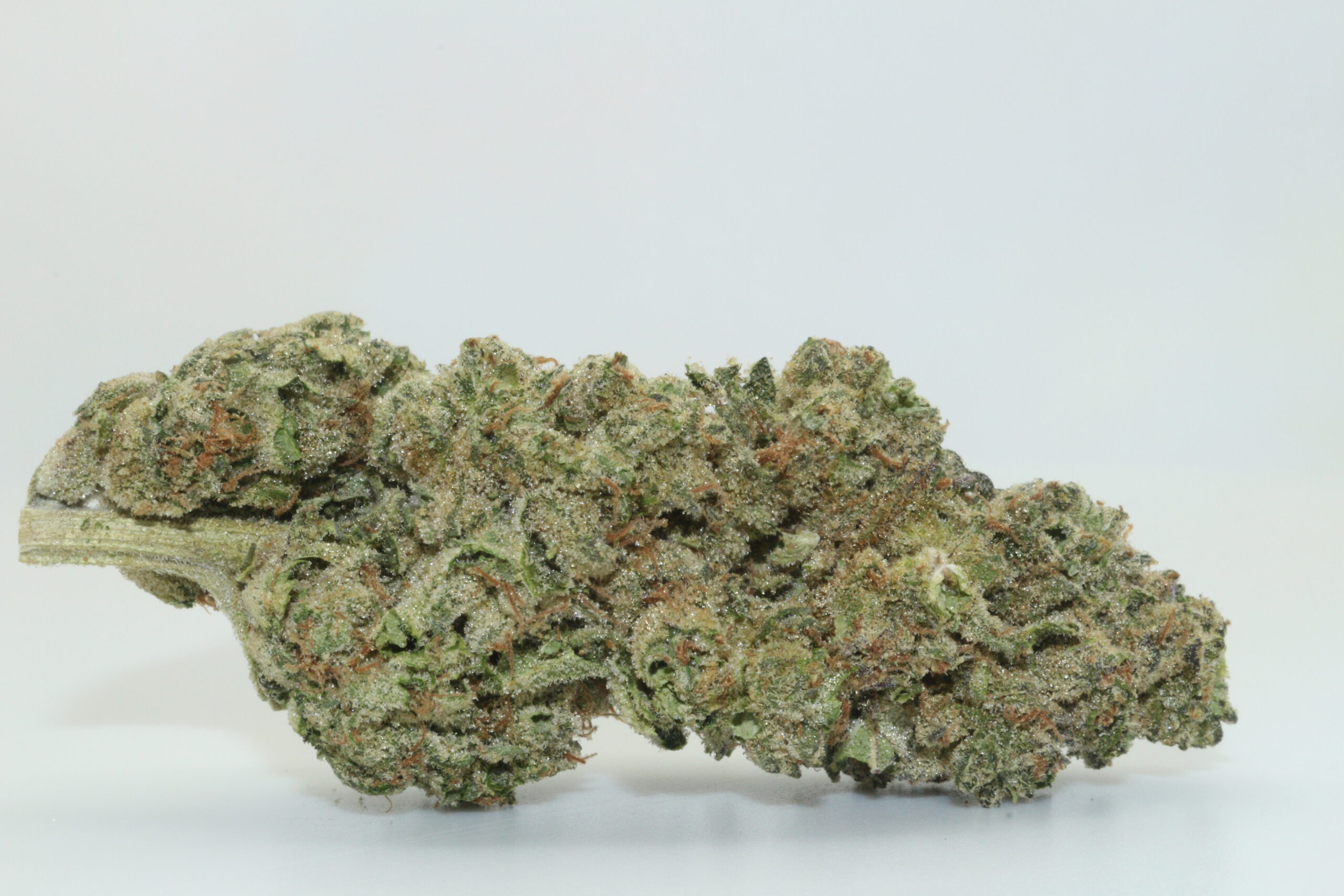 Ruthless OG THCA Hemp Flower Ruthless OG THCA Hemp Flower