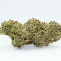 Tropaya THCA Hemp Flower
