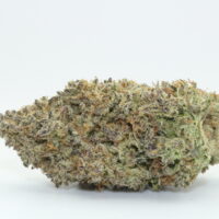 Tropical Cherry Strawberry THCA Hemp Flower
