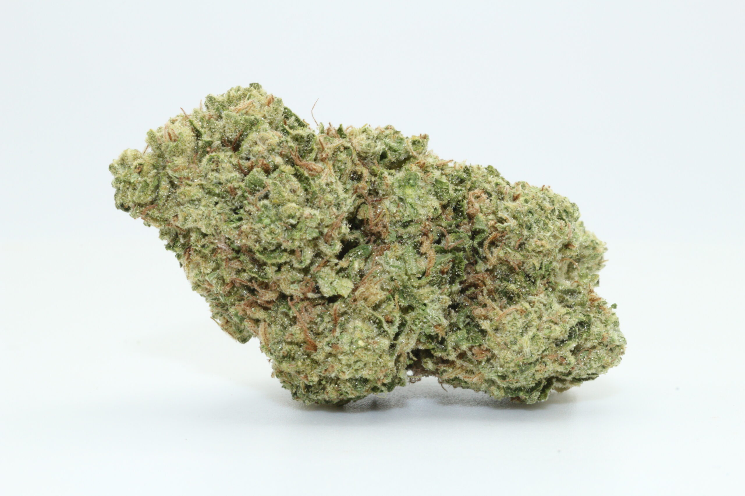 Watermelon Haze - Dr.Ganja