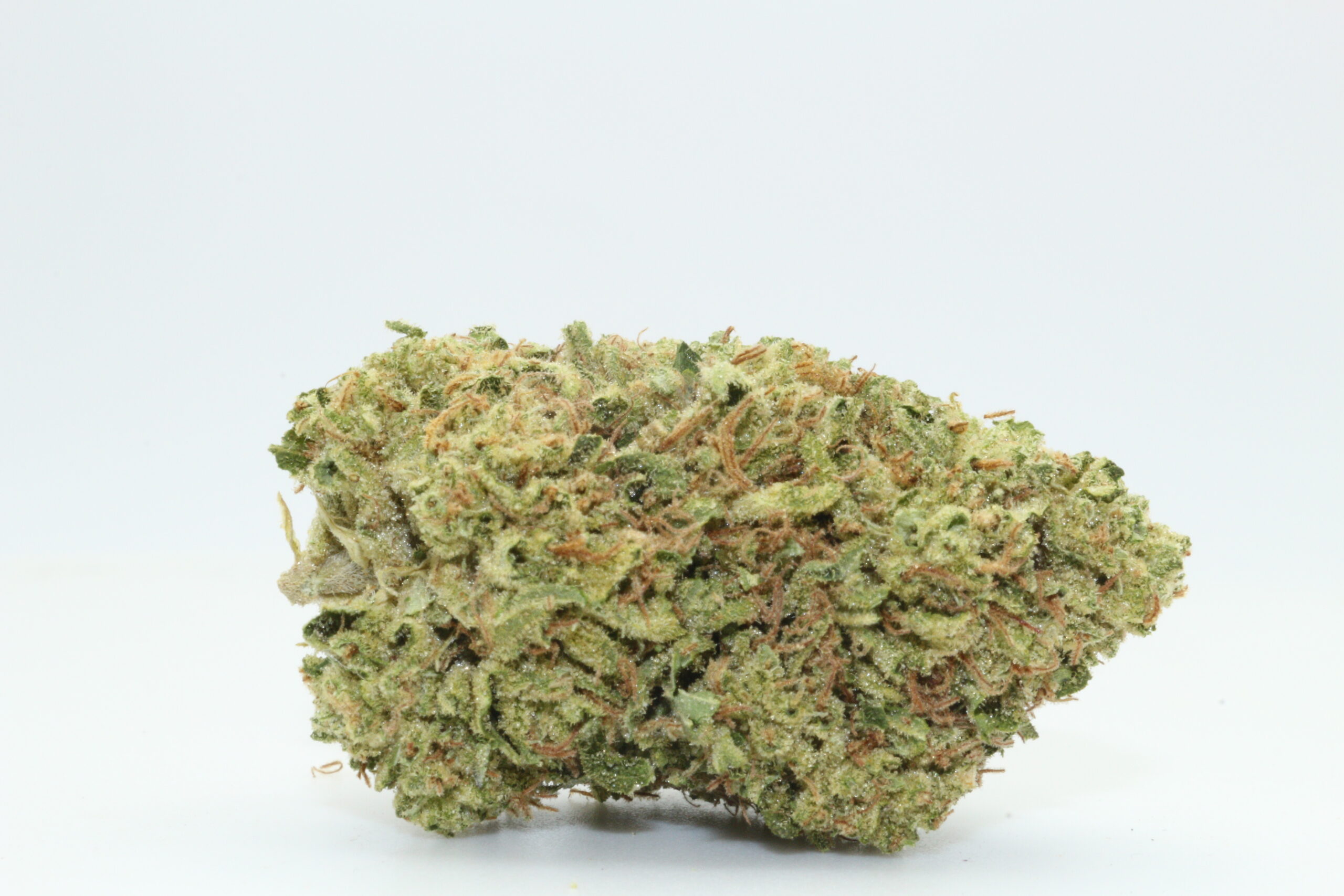 Watermelon Lemonade THCA Flower Watermelon Lemonade THCA Flower