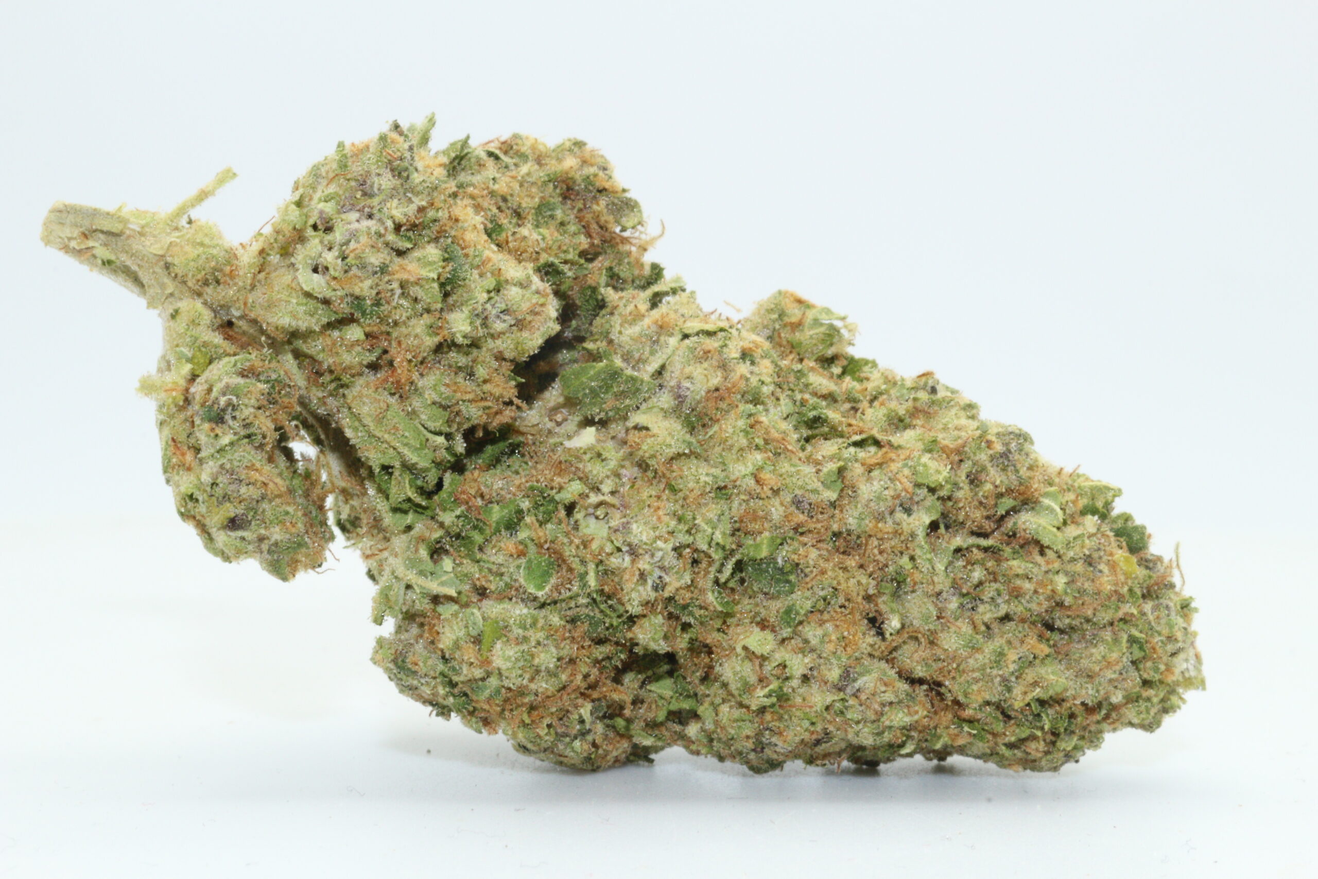 White Buffalo Dr.Ganja