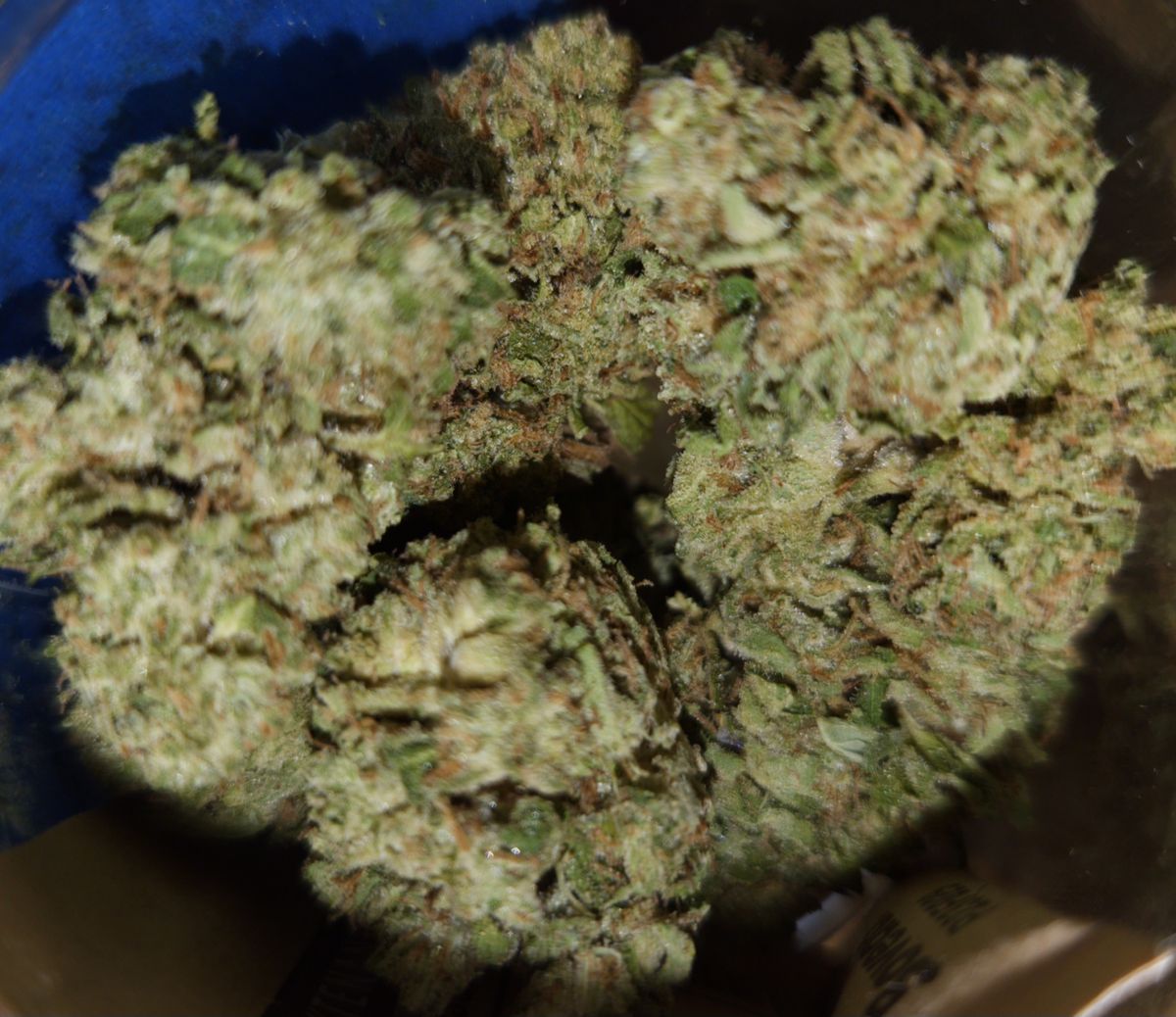 Image #1 from Dr.Ganja Customer