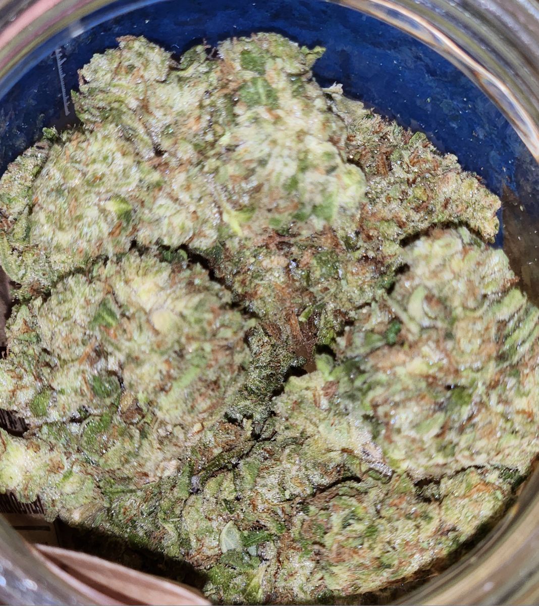 Image #2 from Dr.Ganja Customer