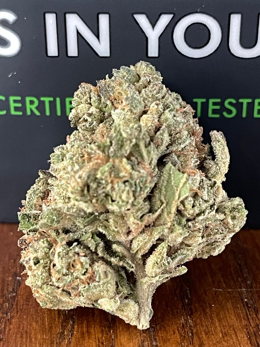 Image #1 from Dr.Ganja Customer