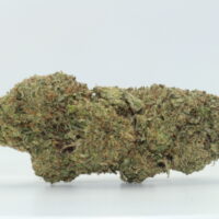 Mimosa THCA Hemp Flower