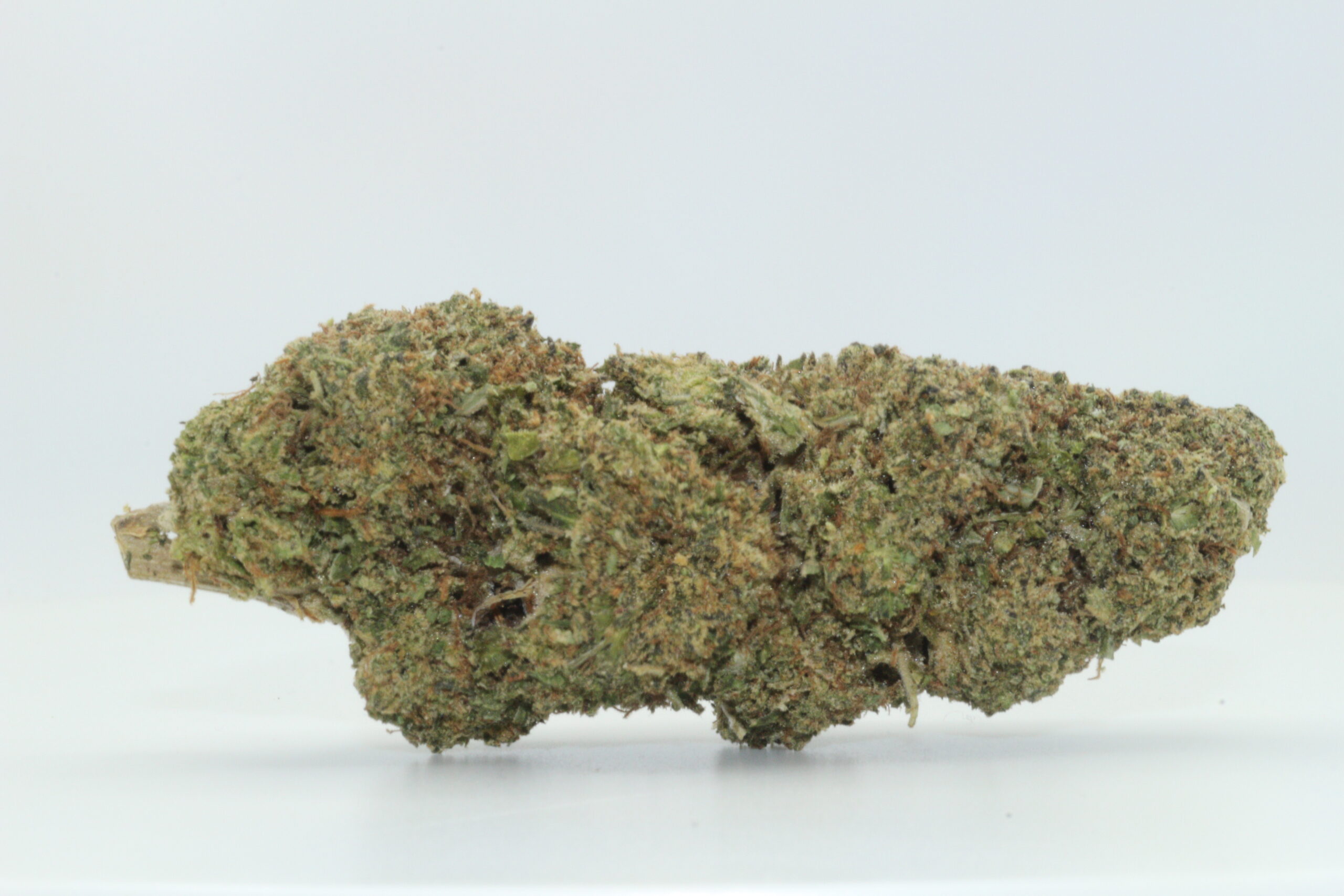 Mimosa THCA flower — Dr. Ganja