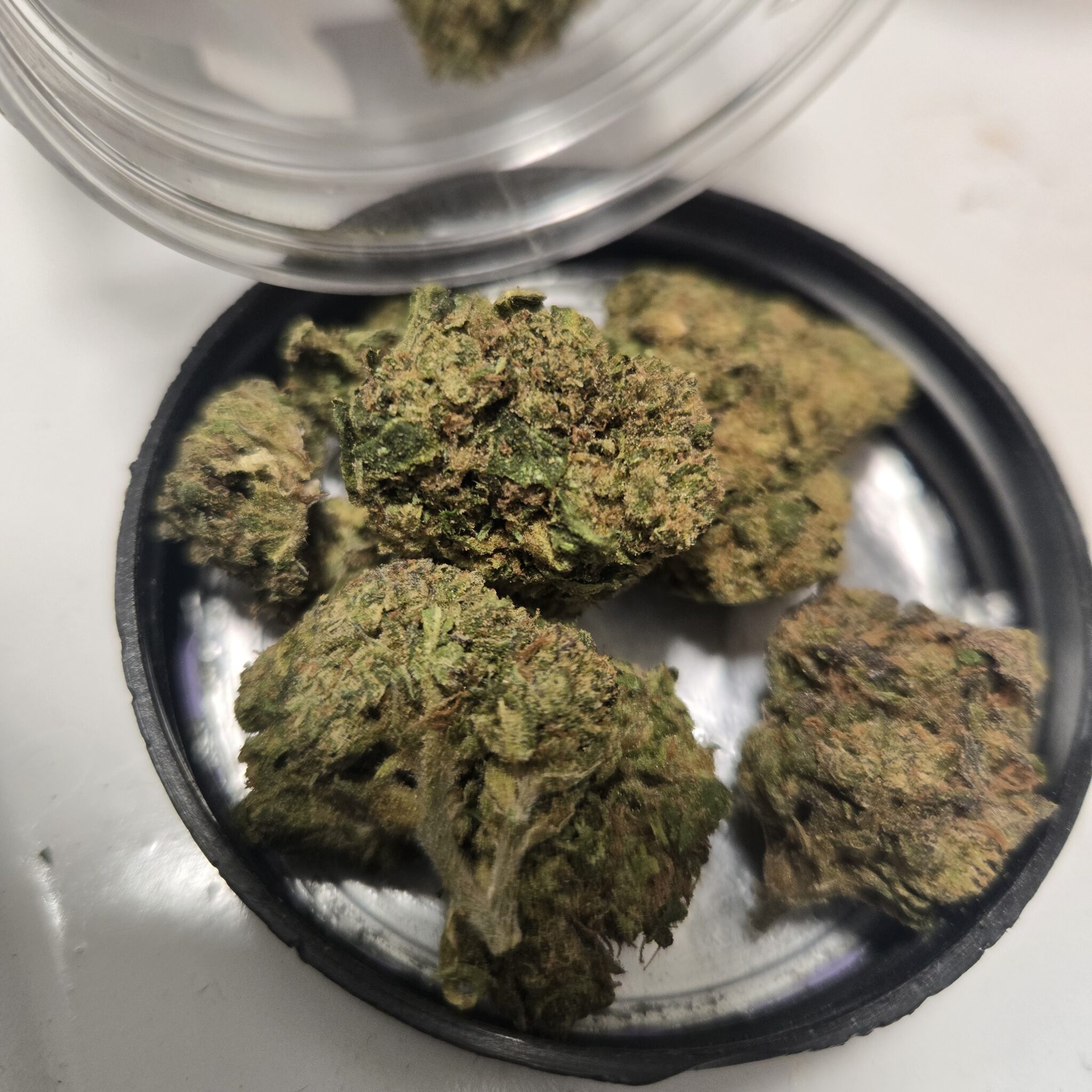 Image #2 from Trinidad