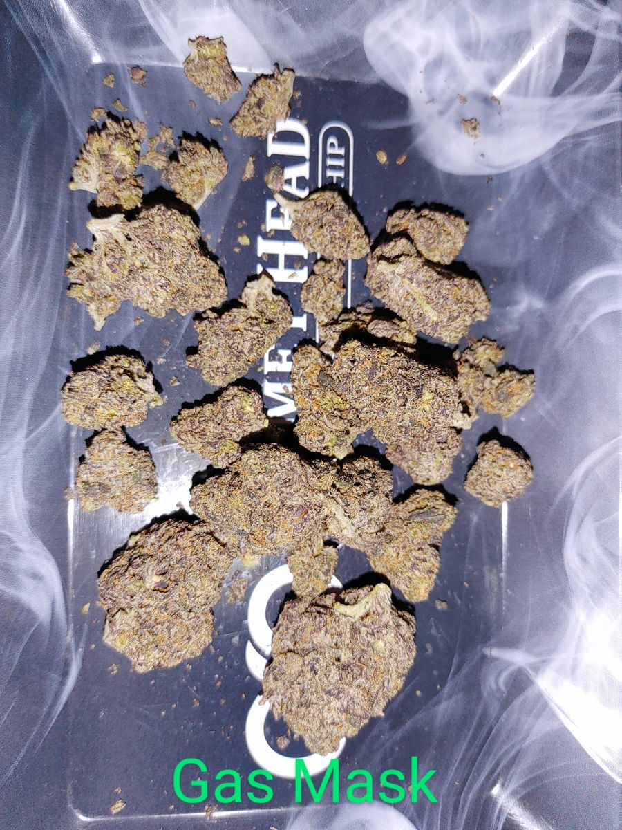 Image #1 from Dr.Ganja Customer