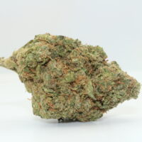 Grape Gas THCA Hemp Flower