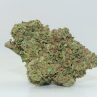 Grape Gas THCA Hemp Flower