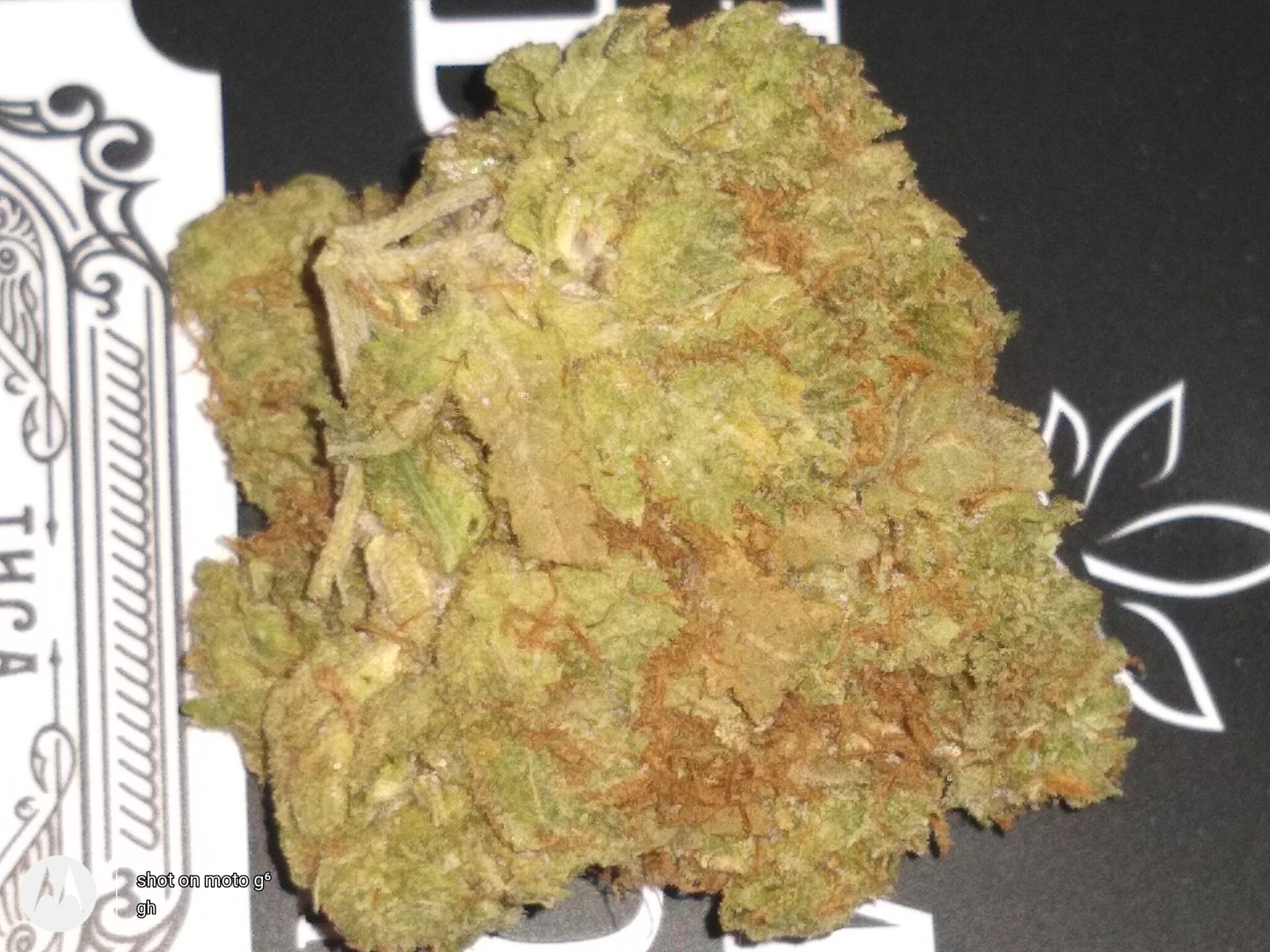 Image #2 from padron2161