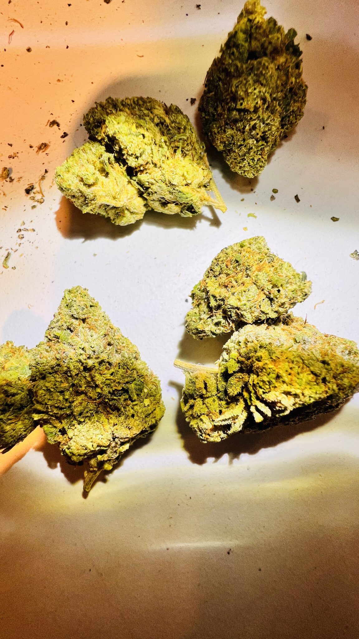 Image #10 from THCA4LIFE