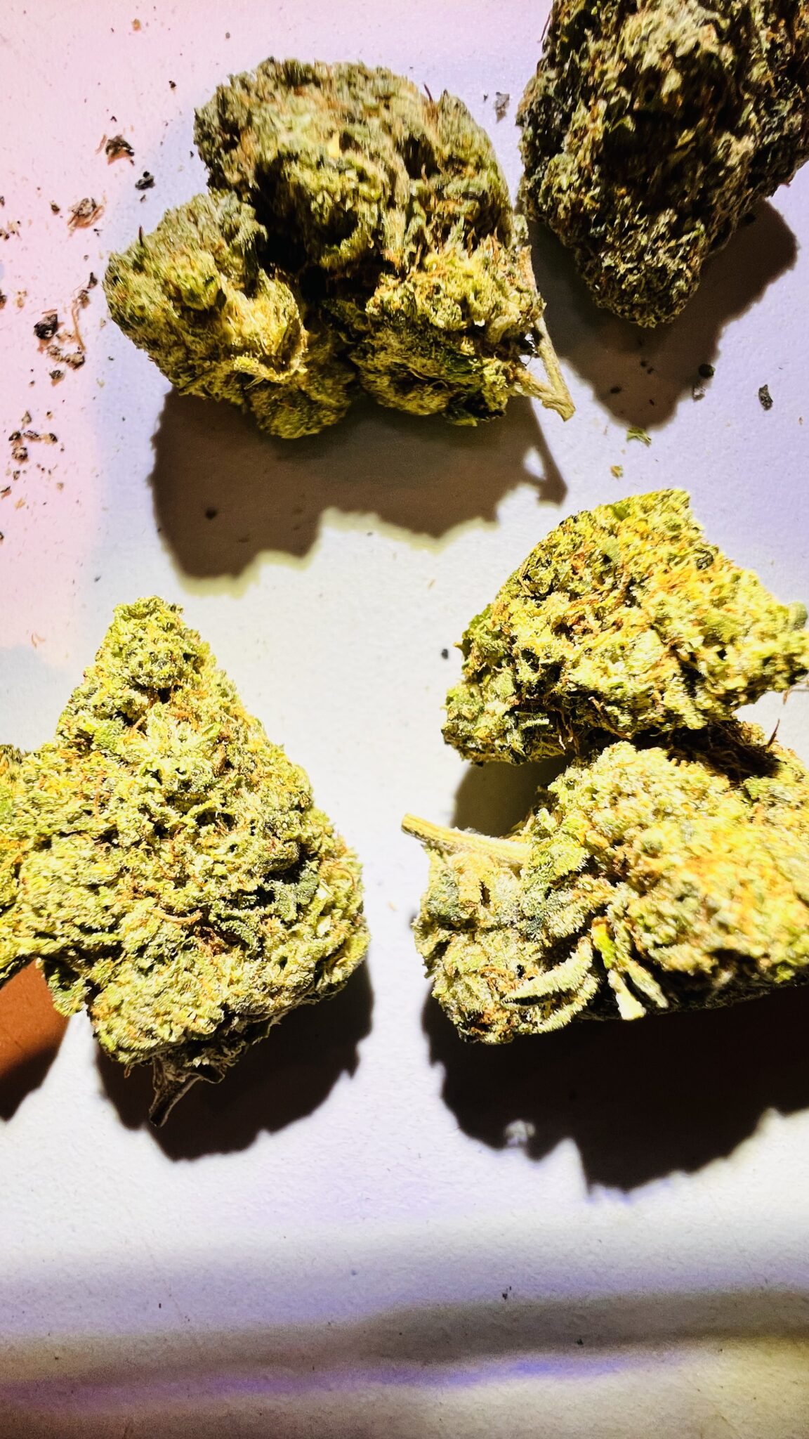 Image #8 from THCA4LIFE