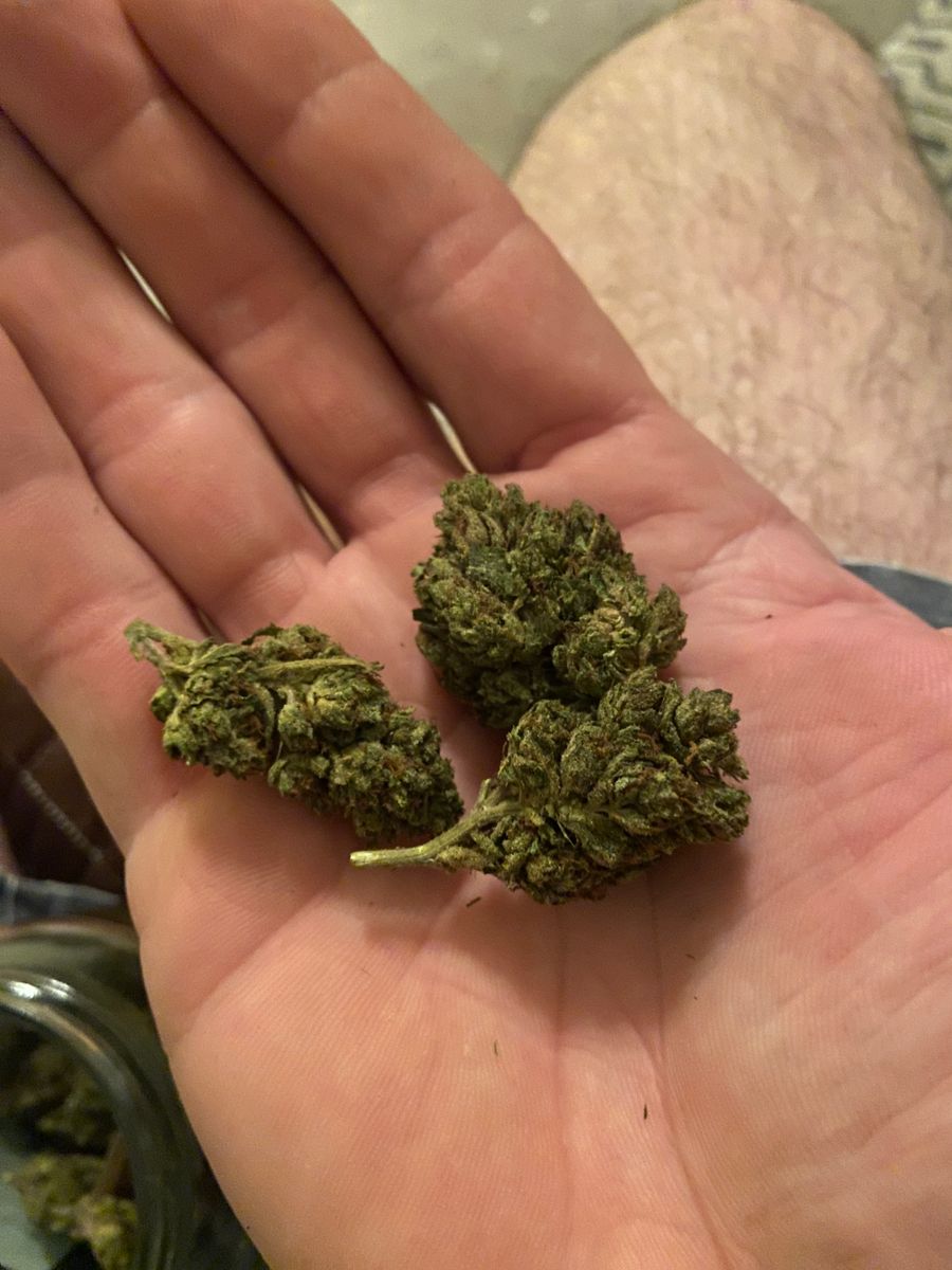 Image #2 from Dr.Ganja Customer