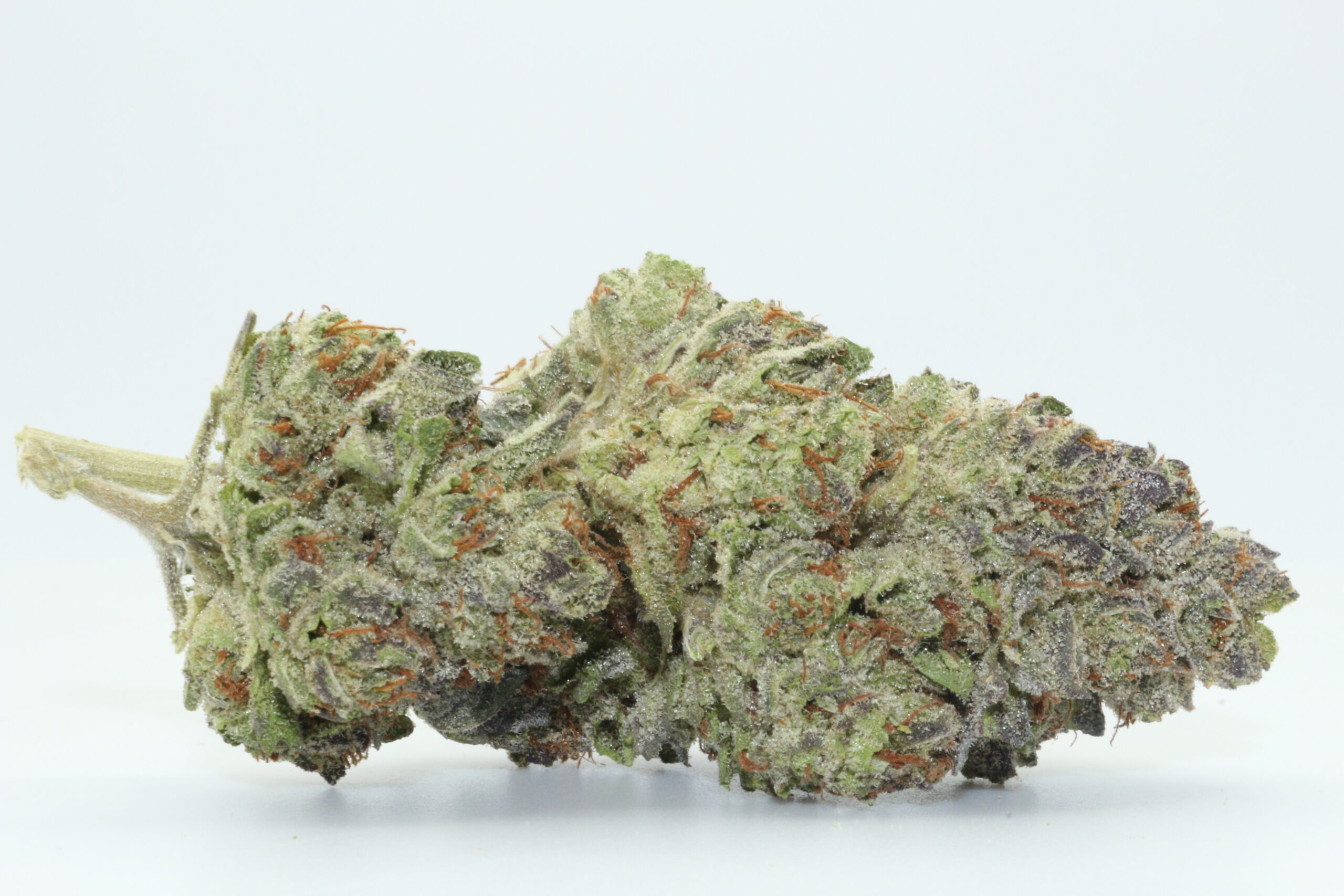 Animal Cookies THCA Flower