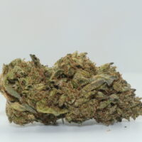 Cream Cake THCA Hemp Flower