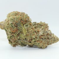 Divine Banana THCA Hemp Flower