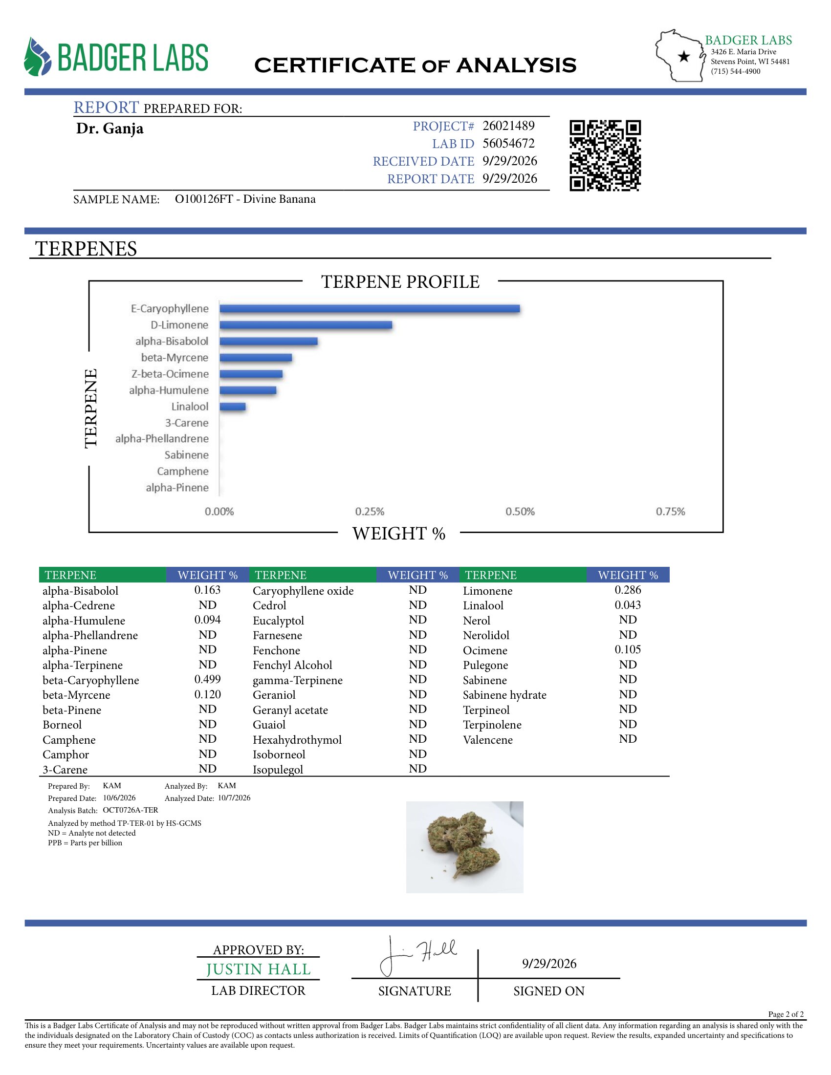 Divine Banana Terpenes Certificate of Analysis
