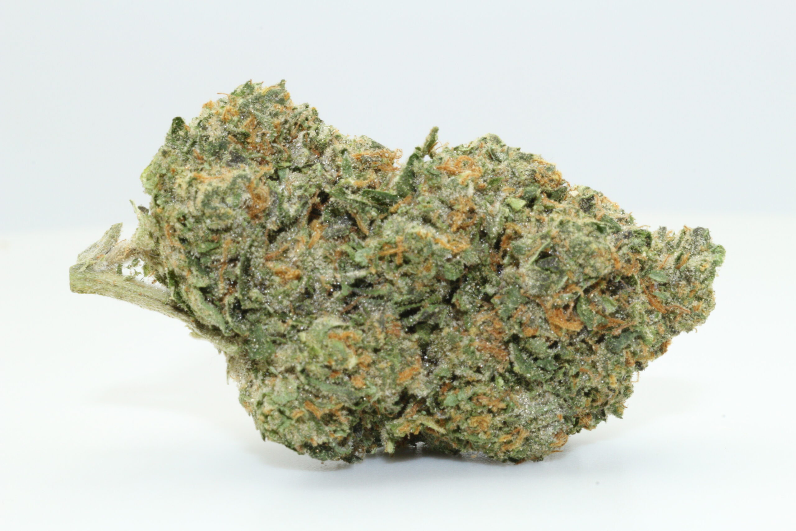 Horchata THCA Hemp Flower Horchata THCA Hemp Flower