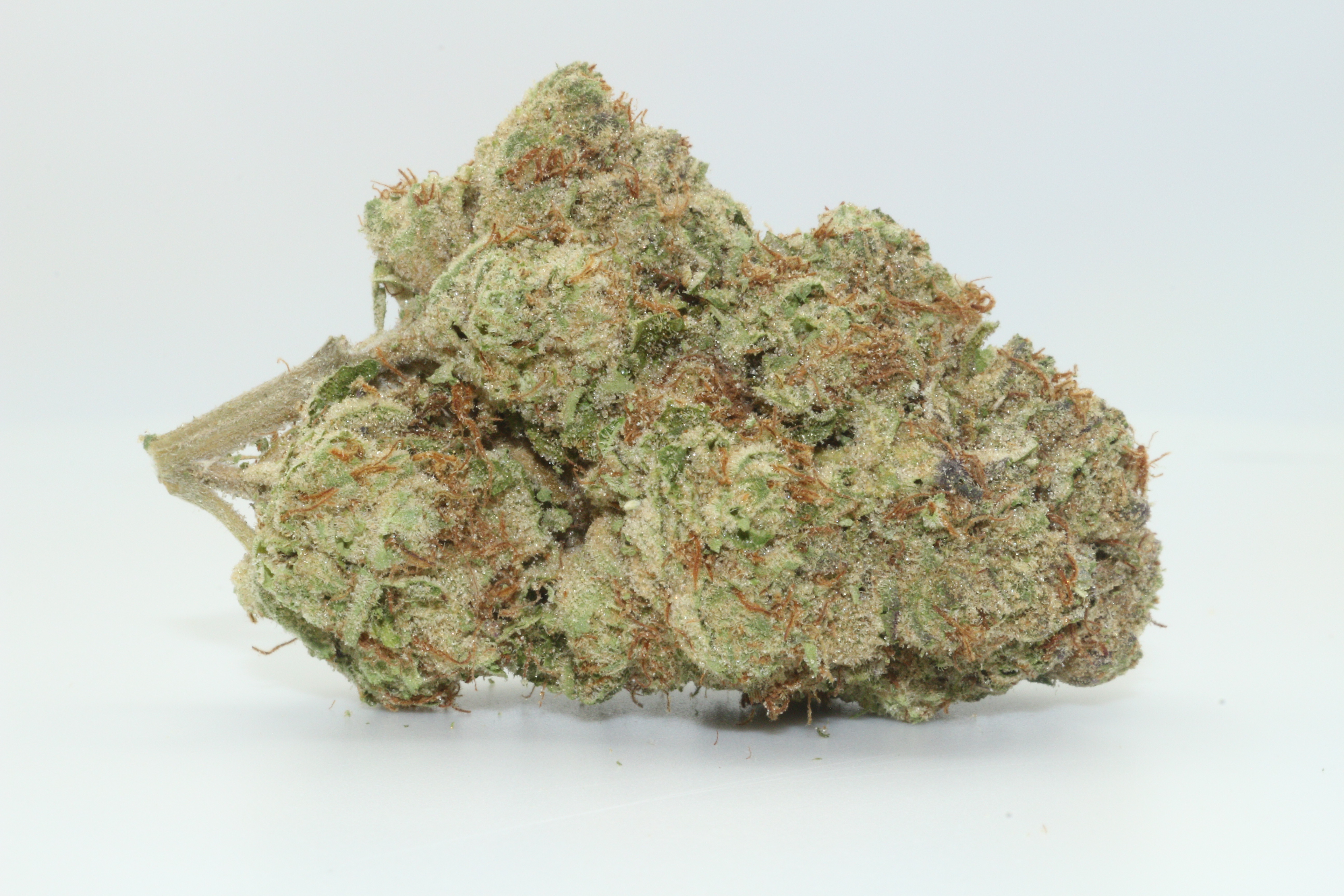 Mendo Breath